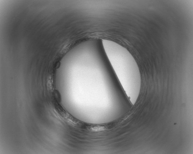 X0000065240669200602170956