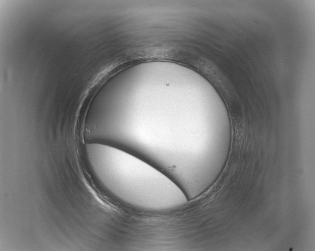 X0000065240674200602170955