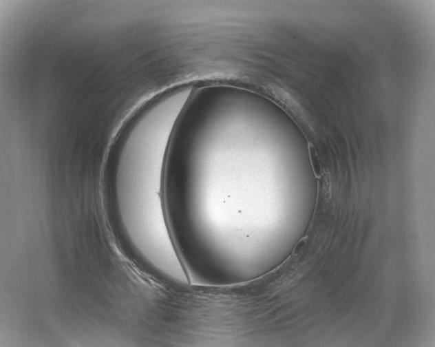 X0000065240676200602170955