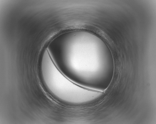 X0000065240677200602170955