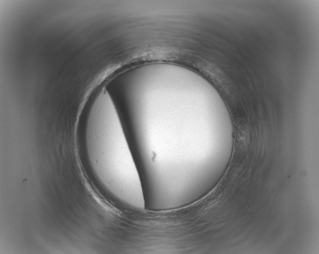 X0000065240678200602170955