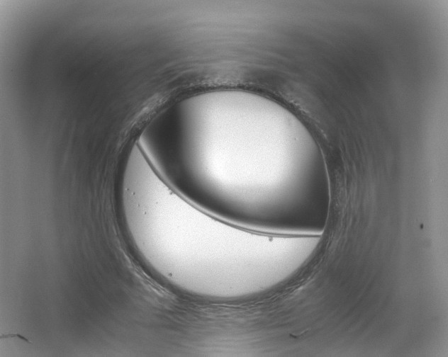 X0000065240681200602170955