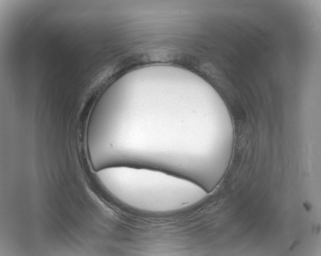 X0000065240683200602170955