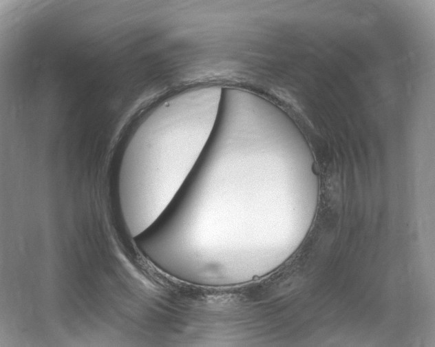 X0000065240686200602170955