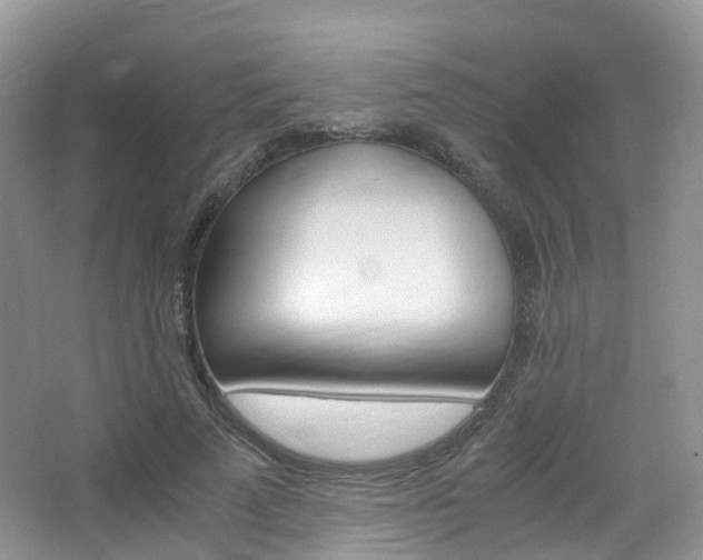 X0000065240689200602170955