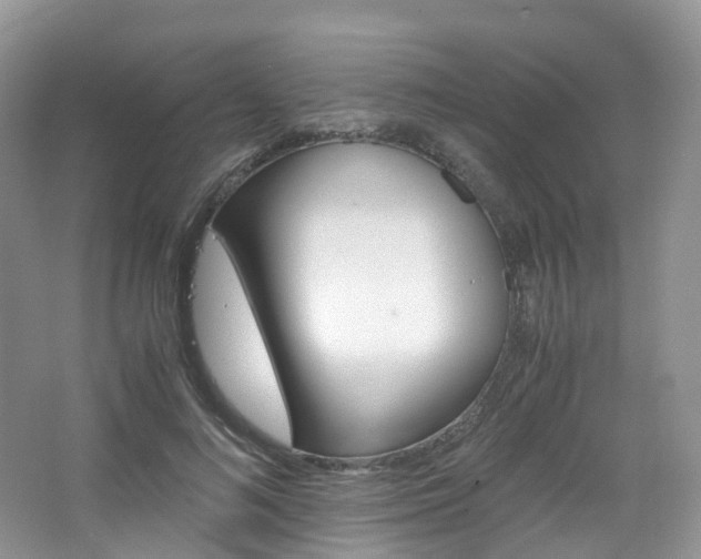 X0000065240692200602170955