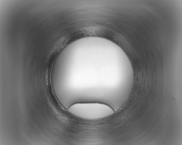 X0000065240694200602170955