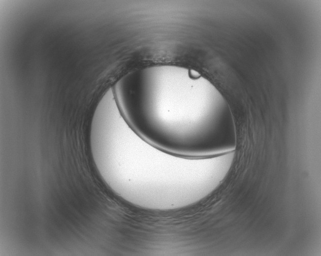 X0000065240697200602170955