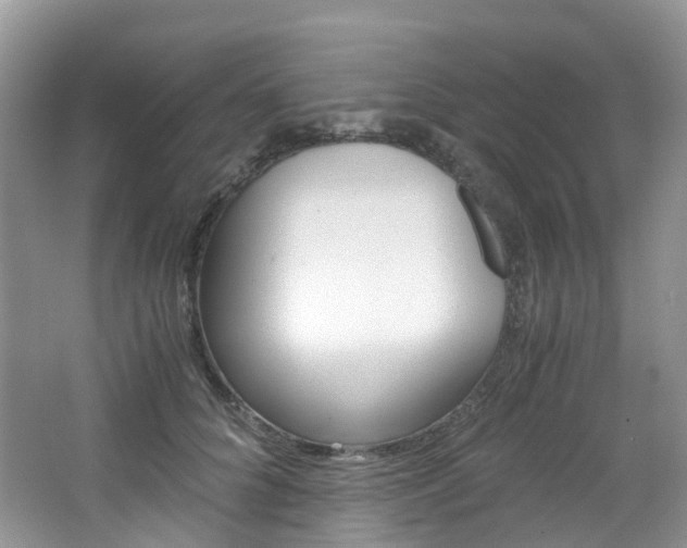 X0000065240704200602170955