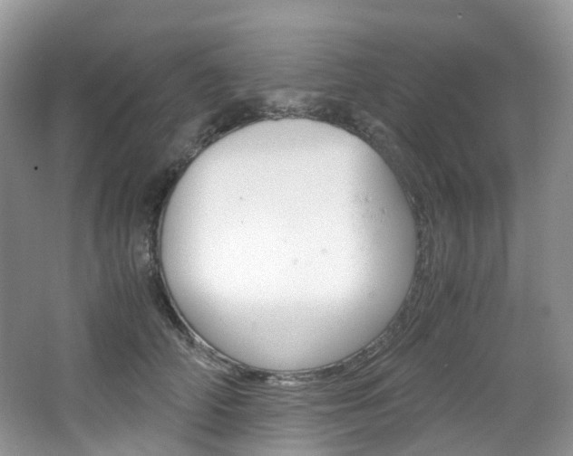 X0000065240706200602170954