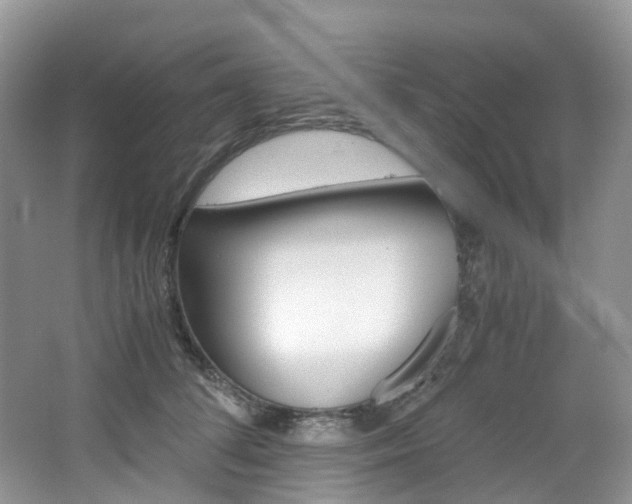 X0000065240708200602170954