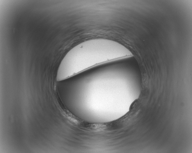 X0000065240719200602170954
