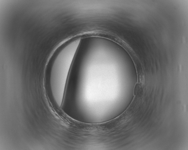 X0000065240724200602170953