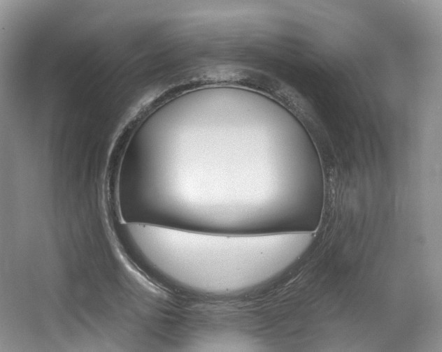 X0000065240726200602170953