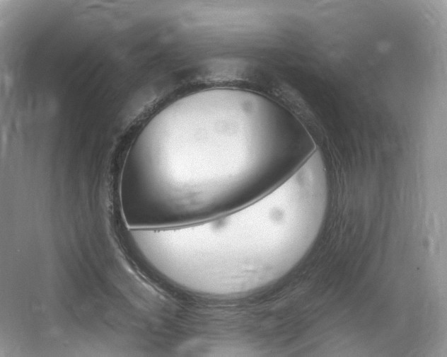 X0000065240732200602170954