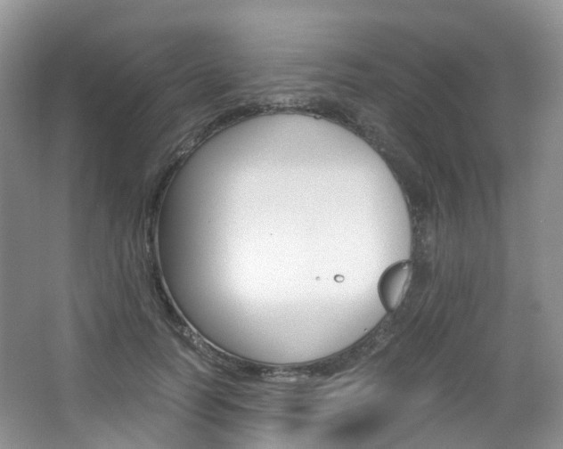 X0000065240746200602170954