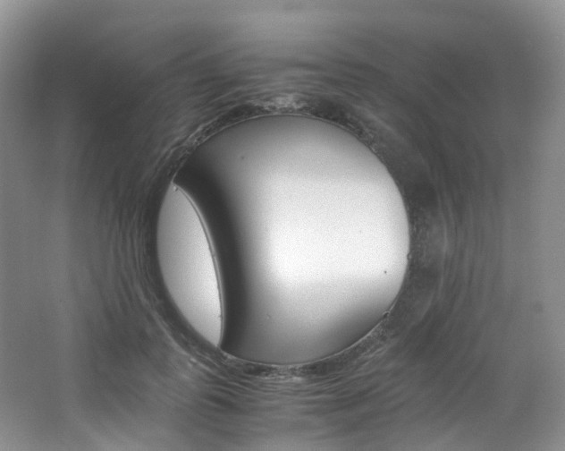 X0000065240747200602170954