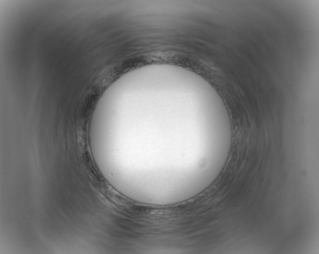 X0000065240749200602170954