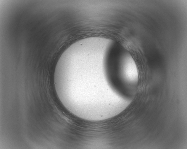 X0000065240750200602170954