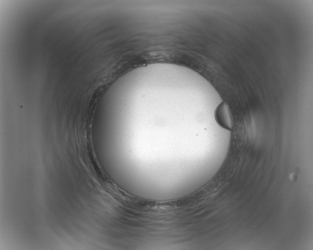X0000065240751200602170954