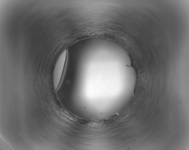 X0000065240756200602170954