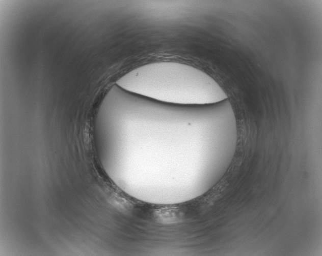 X0000065240761200602170954