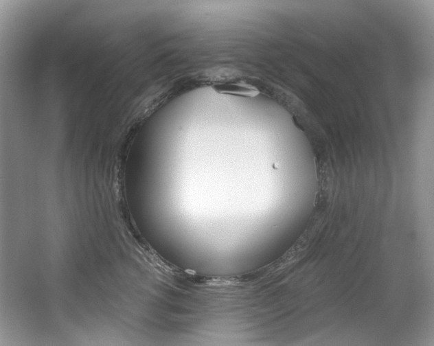 X0000065240762200602170954