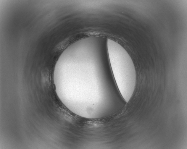 X0000065240763200602170954