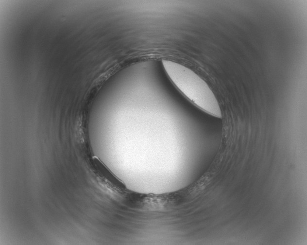 X0000065240764200602170954