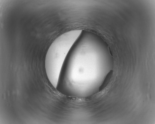 X0000065240768200602170954