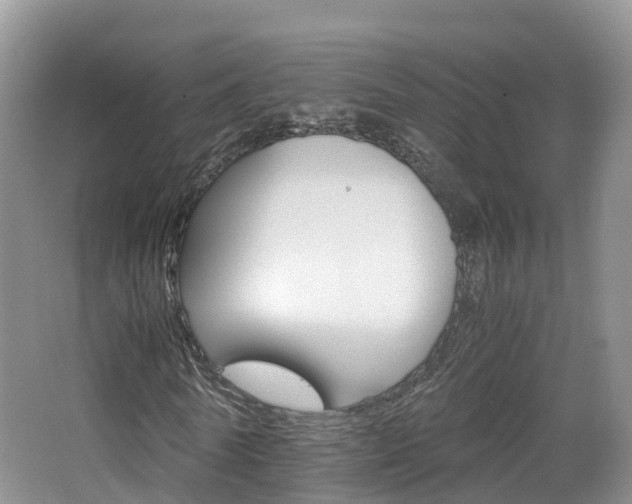 X0000065240770200602170953