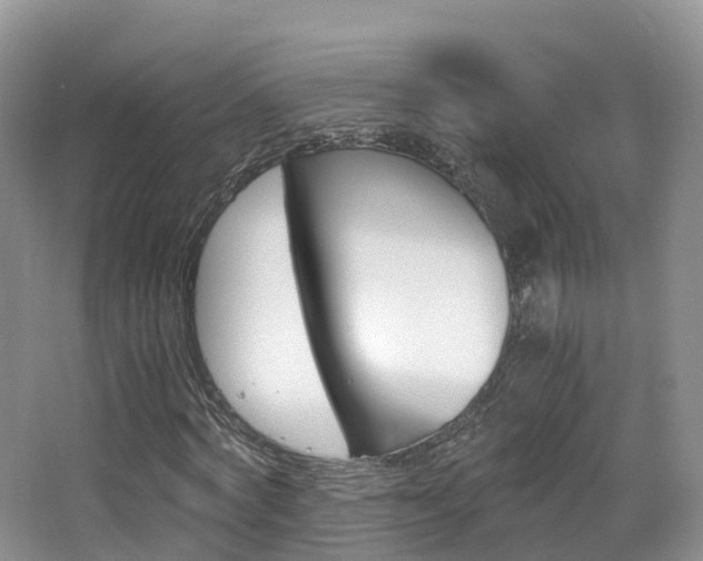X0000065240772200602170953