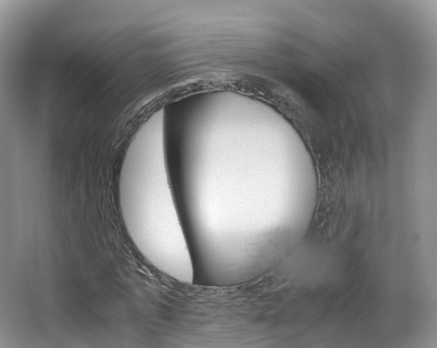 X0000065240773200602170953