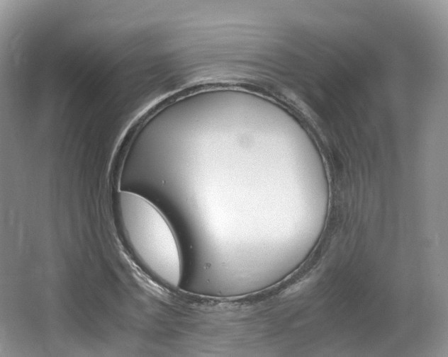 X0000065240779200602170953