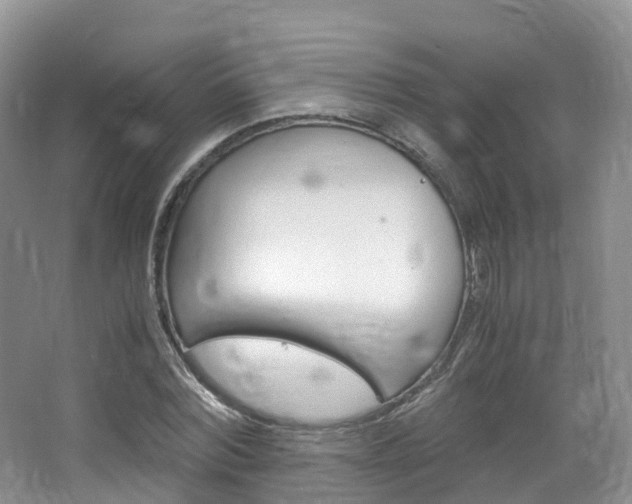 X0000065240780200602170953