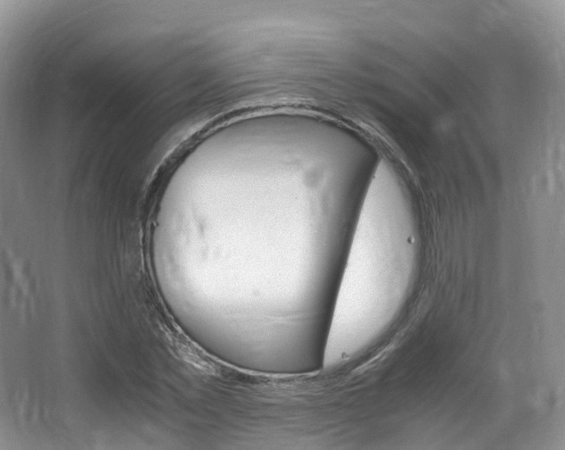 X0000065240781200602170953