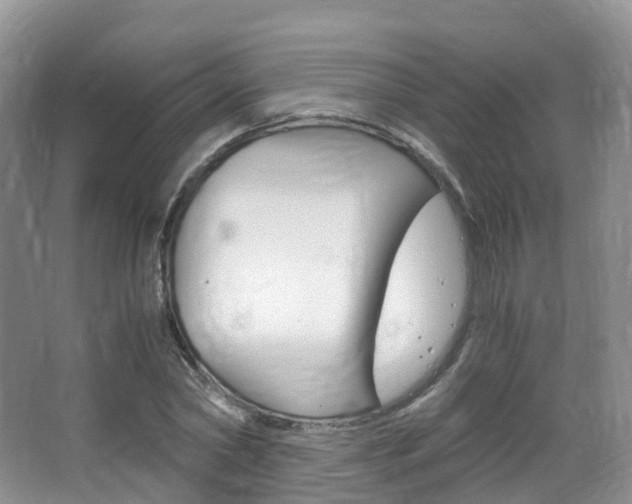X0000065240782200602170953