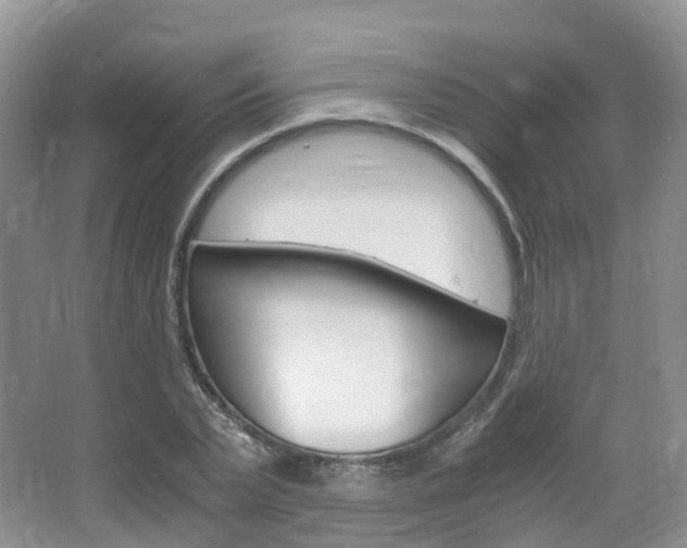 X0000065240783200602170953