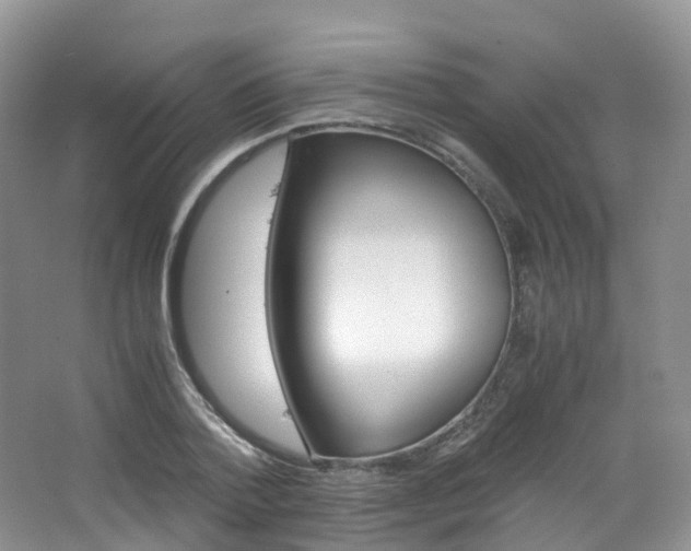 X0000065240788200602170953