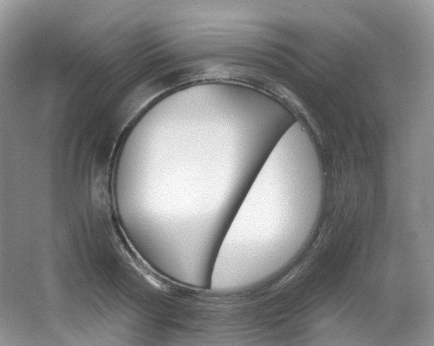 X0000065240794200602170953