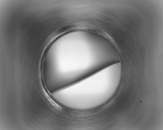 X0000065240795200602170953