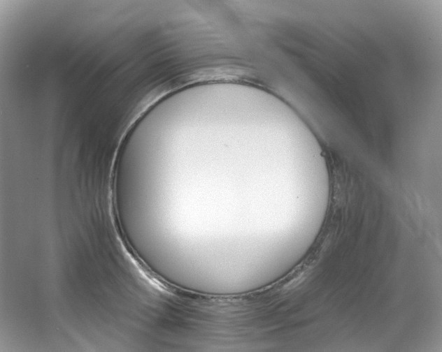 X0000065240802200602170953