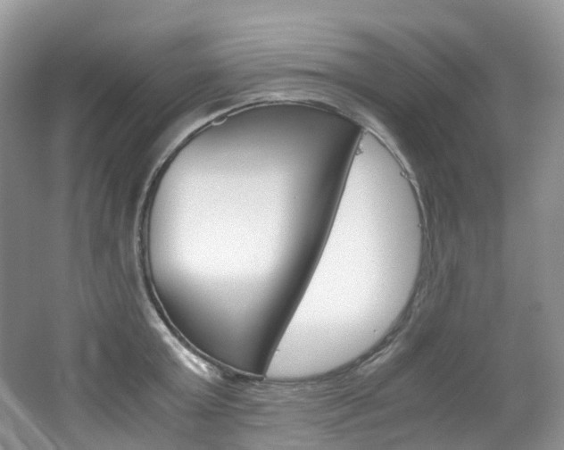 X0000065240803200602170953