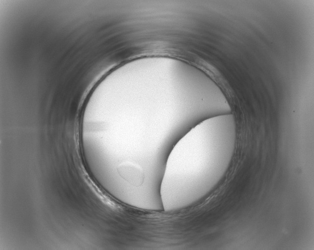 X0000065240804200602170953