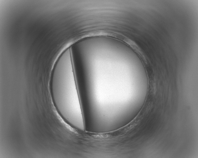 X0000065240805200602170953