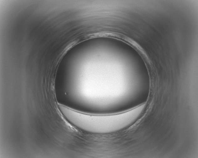 X0000065240809200602170953