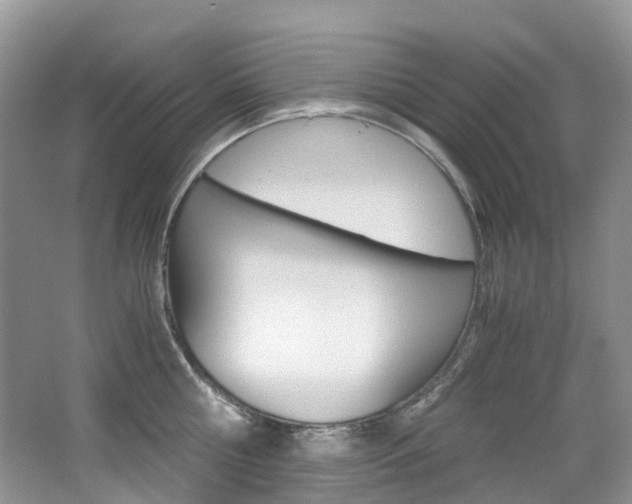 X0000065240810200602170953
