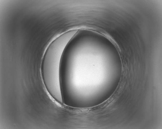 X0000065240813200602170953
