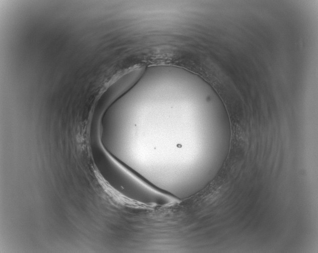 X0000065240818200602170952