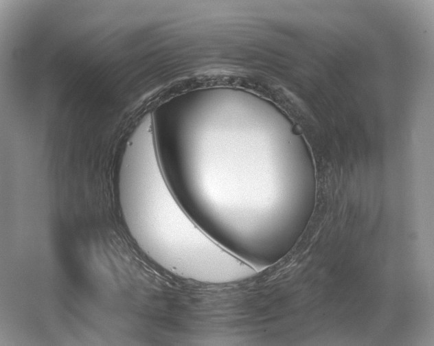 X0000065240821200602170952